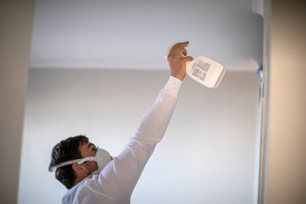 Best Basement Mold Remediation in Fruit Cove, FL