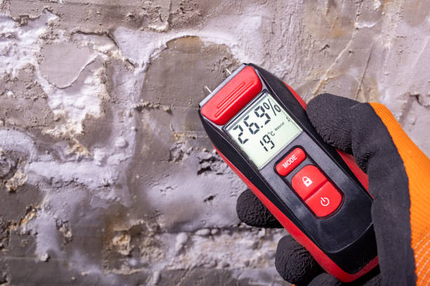 Best Bathroom Mold Remediation in Fruit Cove, FL